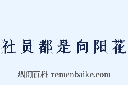 社员都是向阳花是什么意思的图片